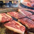 설대포소갈비살참숯불구이