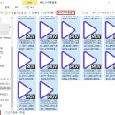 dear paws(디어포즈) | 아이폰스냅 디어아워유스 수원 SY컨벤션 웨딩홀 본식 후기