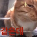 보영민박 이미지