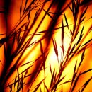 풍수인테리어 이미지