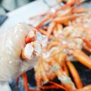 붉은대게일번지 | 창원 붉은대게일번지 /무한리필의 정석! ,후기, 가격 등