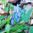 종합사회복지관 대산분관 이미지