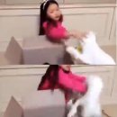 구사도 이미지