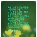 질풍경초