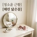 다윤컨설팅 | 정웅인 딸 정소윤, 뉴진스 해린 닮은꼴 변신! 성형설 잠재운 미모 근황 총정리