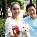 펫21 (Pet21) 이미지