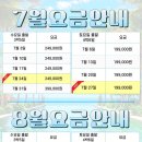 피랑 이미지