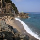 바다가 그리울때 이미지