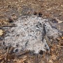 명도농장 이미지