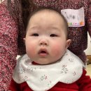 즐거운 영어동화(A) | 청계천 이마트 문화센터 베베스타 5·6회차 수업 후기: 7개월 아기 오감 놀이부터 영어 동화까지