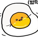 이가네짬뽕 이미지
