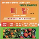 정희농장 이미지