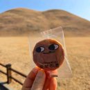 중앙파출소 화장실 이미지