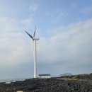 푸른신창 이미지