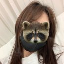 [차홍 아르더 청담] 시크릿 옴브레 긴머리 후기 + 3개월 물 빠짐 기록 (feat. 노랭이가 되는 과정)