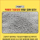 모래틈