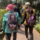 행복한 나들이 이미지