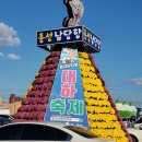 연숙이네해물칼국수 | 남당항 대하축제 대하구이 먹으러 연숙이네 다녀왔어요