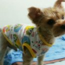 옷만들기(초급) 이미지