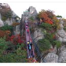청화대 이미지