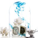 달콤한향기 이미지