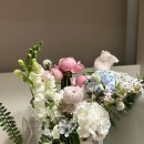 내니플레르 이미지