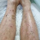 창대사료 이미지