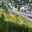 A탑건축사사무소 | 굴에서 수시탑까지 — 국민학교 등굣길, 40년 뒤 건축사가 되어 다시 걷다 ｜ 건축사의 고향, 군산 (3/3)