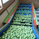 드림1농장 이미지