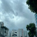 기아대교 | 3일차 부산운전연수, 광고 아님 내돈내산 후기 (부산시청, 코스트코, 광안대교, 문현동, 부전동 코스)