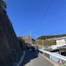 자전거이야기 | 대마도호텔히타카츠 숙박 조식 당일자전거대여 컴플레인후기