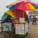 더포레스트 이천 | 1시간 OK! 서울근교 꿀잠 보장 숙소 BEST 2: 양평 펜션 vs 이천 글램핑 [2024 최신판]**