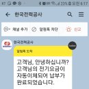 태양광설치 후기 이미지