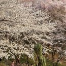 안산공원-2 화장실 이미지