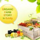 11500-5-22-06 이미지