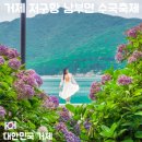 지에스25 부산거제경남 | 거제 저구항 수국 명소 후기｜작년 방문 후기와 2026 남부면 수국축제 정보