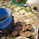 금강초등학교 이미지