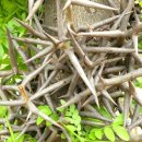 참경희한의원 이미지