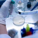 엘에스메디팜 이미지