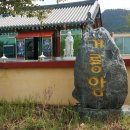 창선교 밑 Daum카페