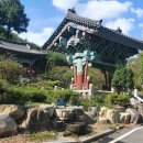 진주 응석사 목조석가여래삼불좌상 | 하늘을 찌를 만큼 높은 삼나무 진주 응석사