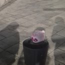 10월 셋째주