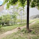 신계(역사공원) 이미지