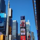 프라임플레이존 | 9월/10월에 가기 제일 좋은 뉴욕여행🍕✈ (feat. 1년 늦게 쓰는 지각 ㄹㅈㄷ)