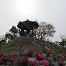 구남농장 이미지