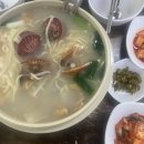 🦀 [영종도 마시안 갯벌체험] 조개도 캐고 ✈️ 비행기도 보고! 물때표, 요금, 꿀팁 총정리 (황해칼국수...