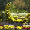 구청 남측광장 이미지