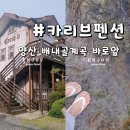 카리브펜션 이미지
