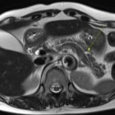 그린몰의원 이미지