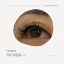 하이래쉬 | 뷰티 만족도 100%! 의왕 하이래쉬 속눈썹 연장 솔직 후기